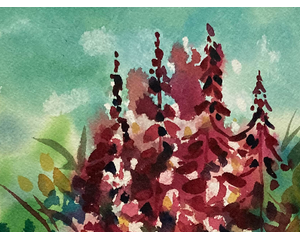 "Flourishing Fireweed" Original Chris Wakefield Watercolor Painting 